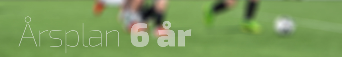 arsplan 6 år
