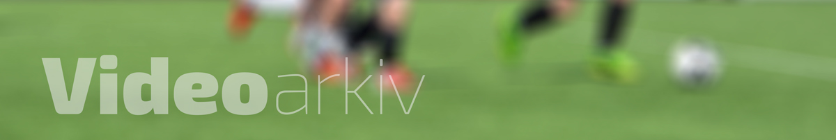 Videoarkiv
